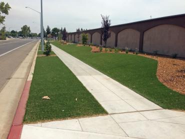 Artificial Grass Photos: Fake Pet Turf Mira Loma California Back and Front Yard